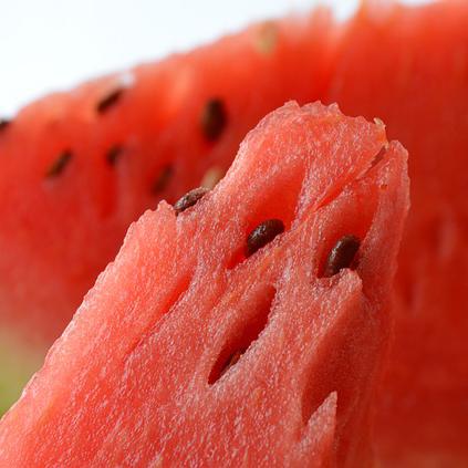 Qué frutas puede comer mi hámster - Paso 3