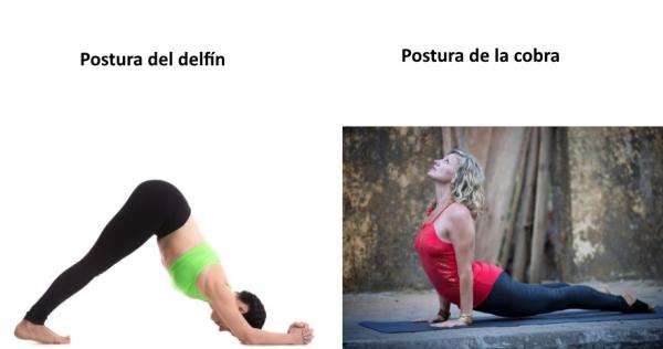 Cómo adelgazar rápido con yoga - 2 buenas posturas para bajar de peso con yoga