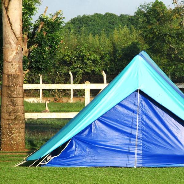 Cómo guardar alimentos en un camping