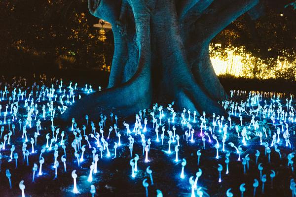 Qué hada te protege según tu fecha de nacimiento - El significado de cada hada