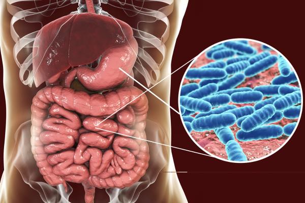 Tengo Helicobacter pylori: ¿puedo contagiar a mi familia? - Qué es el Helicobacter pylori