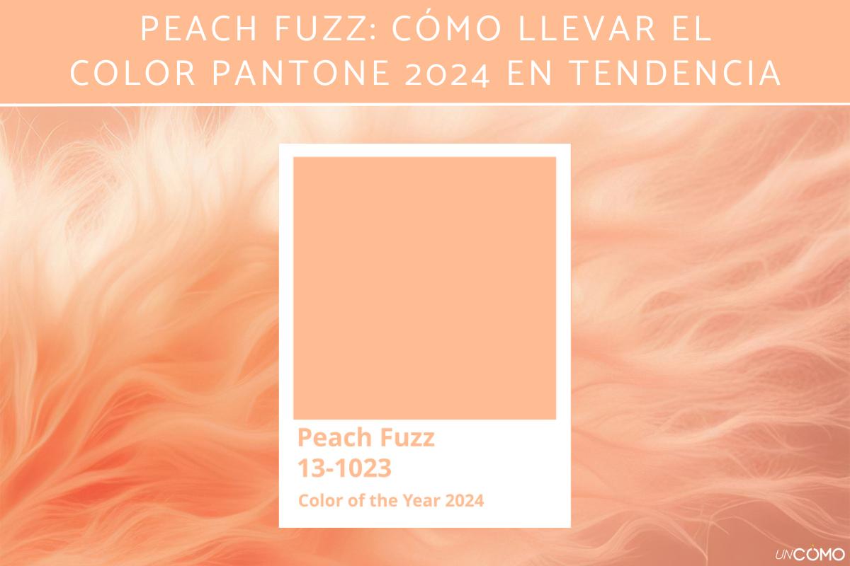Peach fuzz: cómo llevar el color Pantone 2024 en tendencia