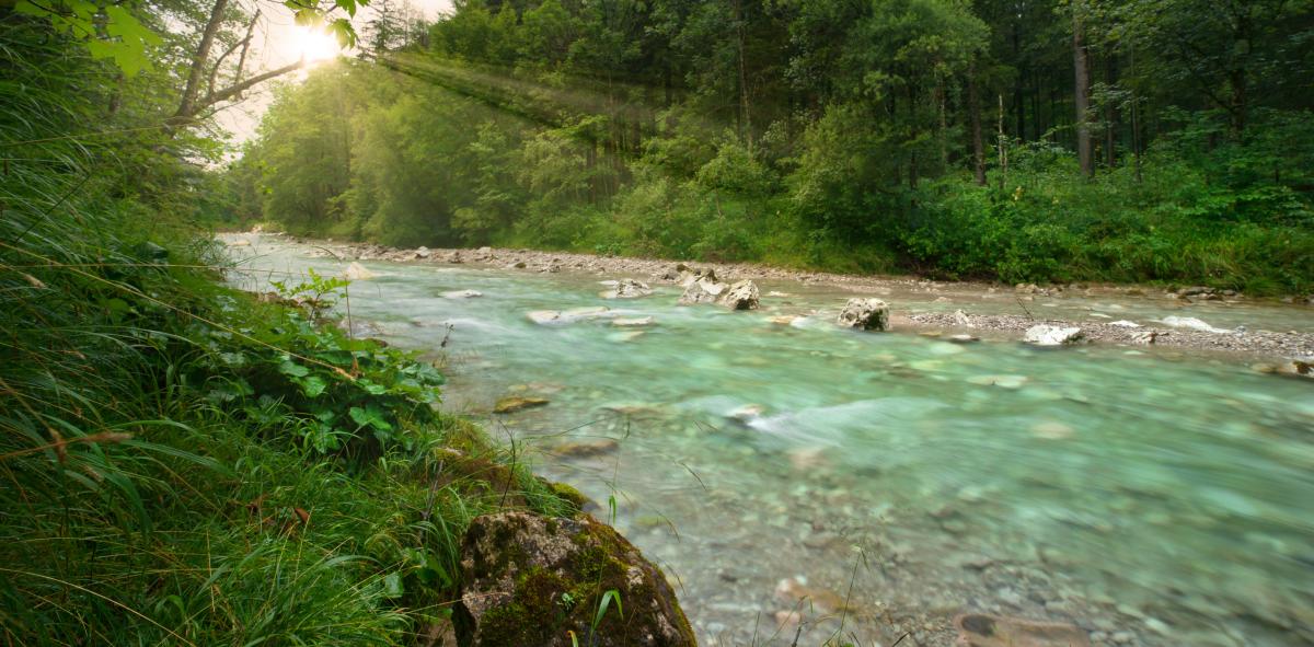 Cómo saber a que velocidad va el agua del río