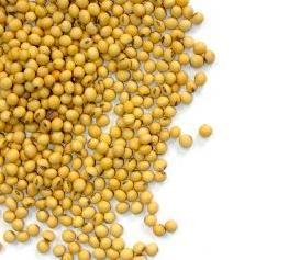 Cómo tener una piel de la cara más joven y radiante - Paso 1