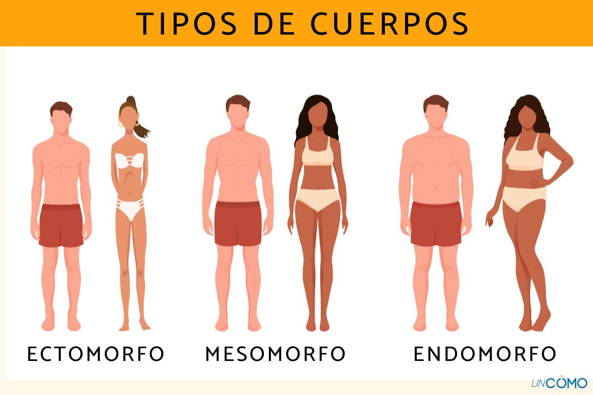 Ectomorfo, mesomorfo y endomorfo: así son los tipos de cuerpos
