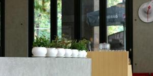 Cómo decorar la cafetería de la escuela