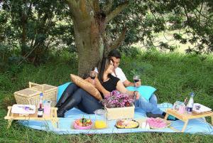 Cómo celebrar mi aniversario de bodas con poco dinero - Picnic romántico