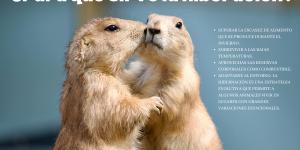 Animales que hibernan y por qué lo hacen