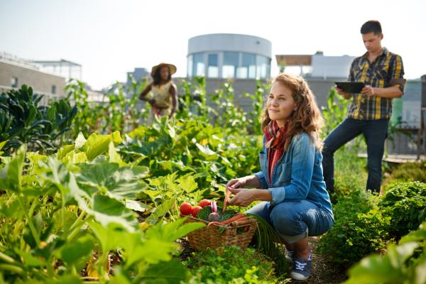 Cómo ahorrar agua al regar las plantas - los mejores consejos - Elige las horas más adecuadas para un riego eficiente