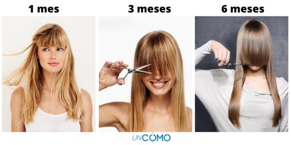 Cuánto tarda en crecer el flequillo - Cuánto tarda en crecer el flequillo - la respuesta