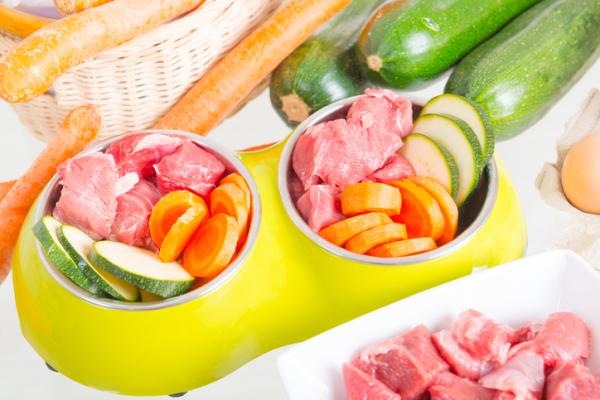 las zanahorias son buenas para la digestion de los perros