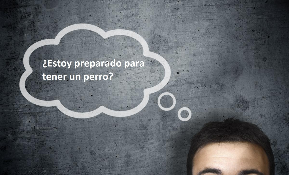 Razones para no tener un perro ¿estás preparado?