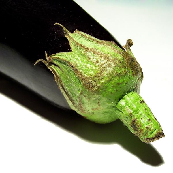 Cuáles son los beneficios de la berenjena