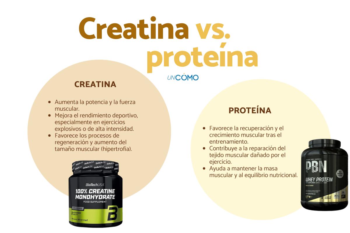 Diferencia entre creatina y proteína: ¿cuál elegir?