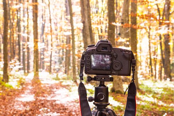 Día Mundial de la Fotografía: cuándo es y por qué se celebra -  Por qué se celebra el Día Mundial de la Fotografía