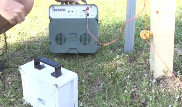 Cómo funciona un pastor eléctrico - Cómo funcionan los pastores eléctricos