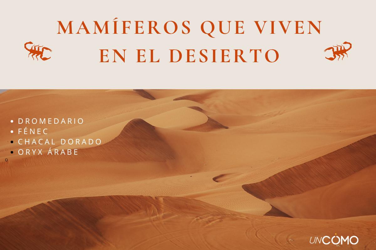 Animales que viven en el desierto y cómo sobreviven