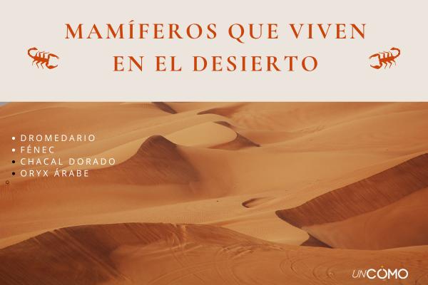 Animales que viven en el desierto y cómo sobreviven
