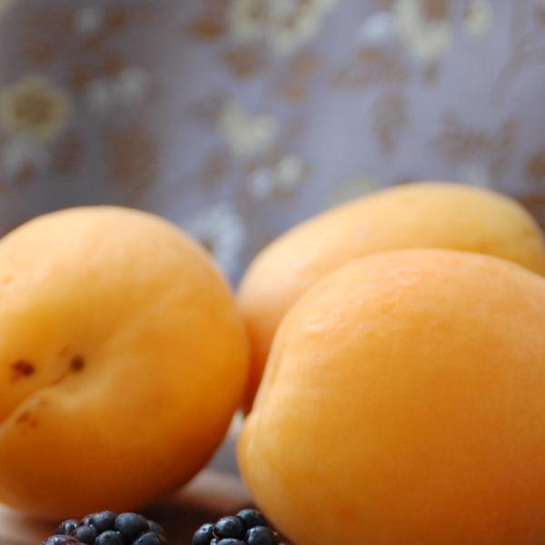 Como hacer albaricoque en almíbar