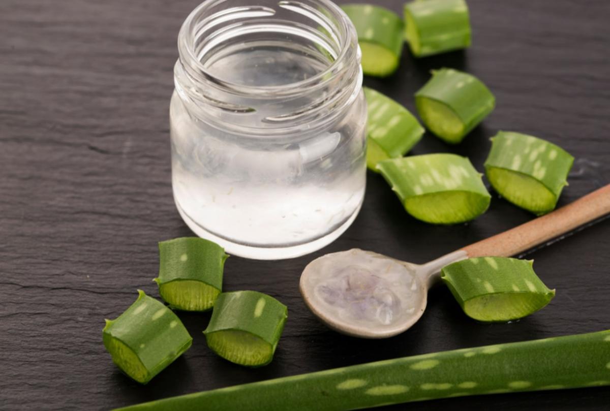 Cómo tomar aloe vera para el estreñimiento