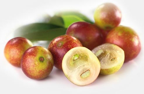 Cuáles son las propiedades del Camu Camu