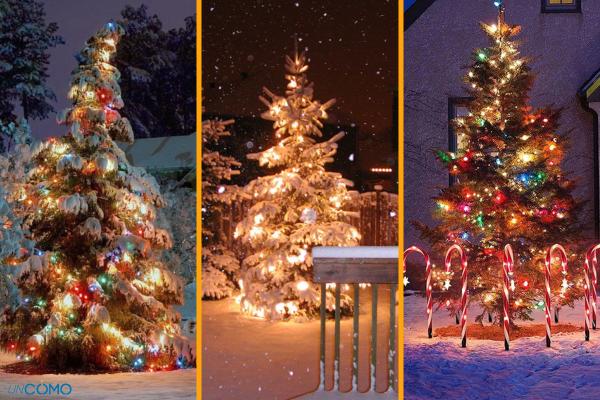 Cómo decorar el jardín en Navidad - Gran árbol de Navidad