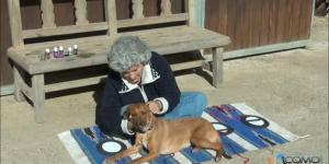 Cómo hacer un masaje al perro