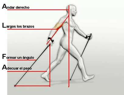 Cómo es la técnica Alfa del nordic walking