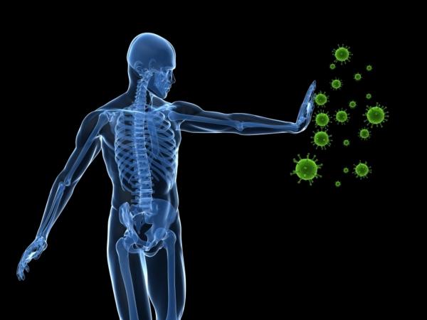 Sistemas del cuerpo humano y sus funciones