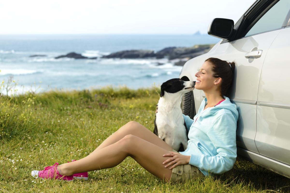 ¿Se contagia la leishmaniasis de perros a humanos? - aquí la respuesta