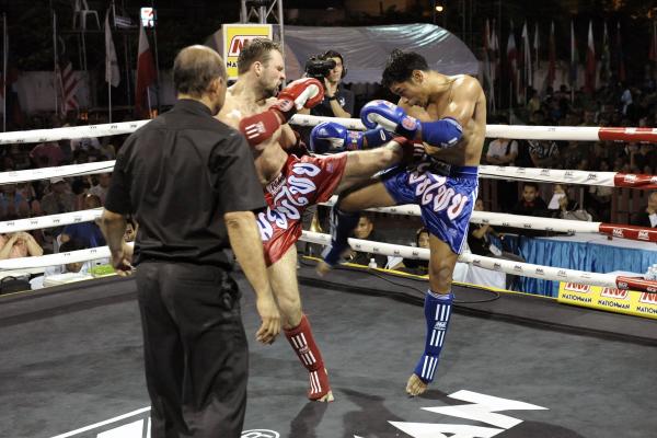 Qué son las MMA o Artes Marciales Mixtas - Deportes usados en las MMA