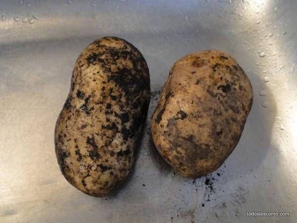 Cómo hacer papas fritas - Paso 2