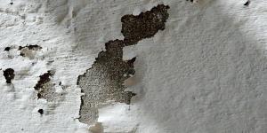 Cuáles son los tipos de humedad en las paredes