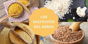 Sustitutos del arroz: estos son los alimentos alternativos