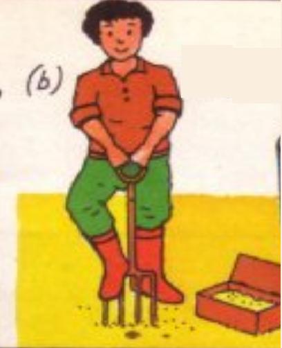 Cómo coger gusanos de arena para pescar - Paso 2