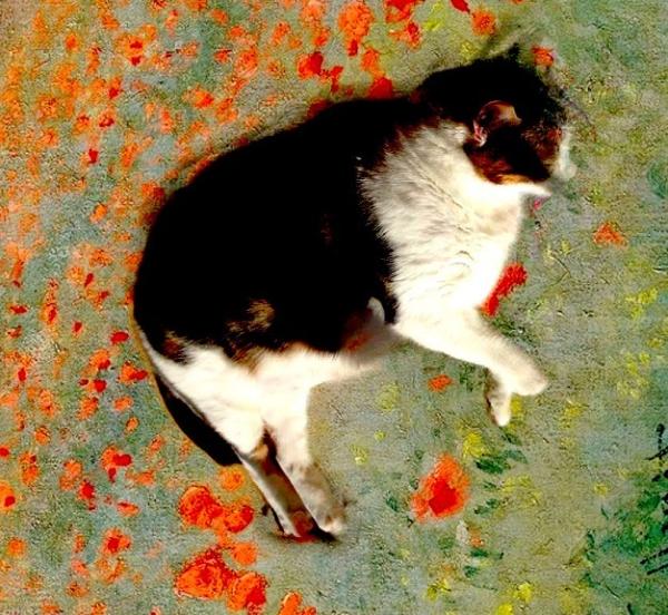 Cómo hacer un fotomontaje en Photoshop