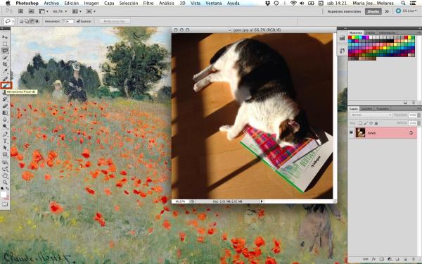 Cómo hacer un fotomontaje en Photoshop - Paso 1
