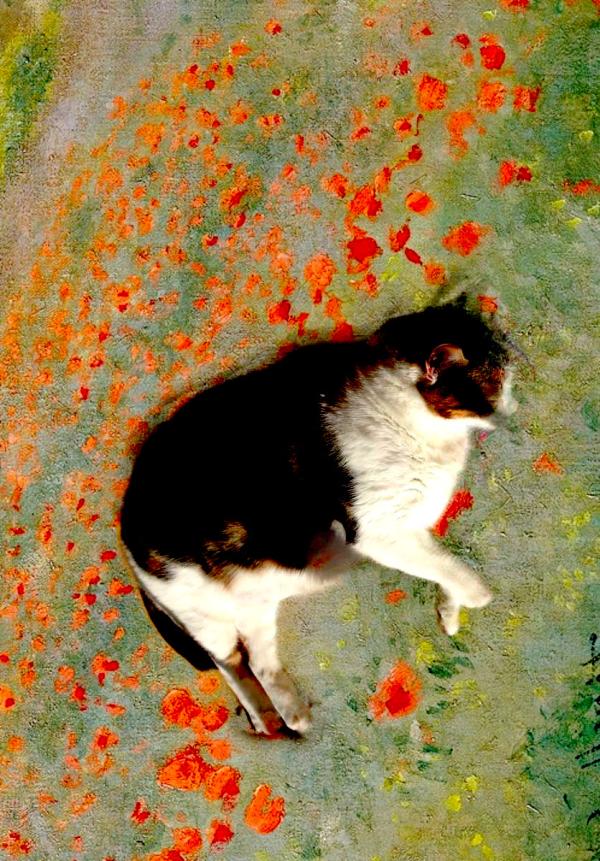 Cómo hacer un fotomontaje en Photoshop - Paso 11