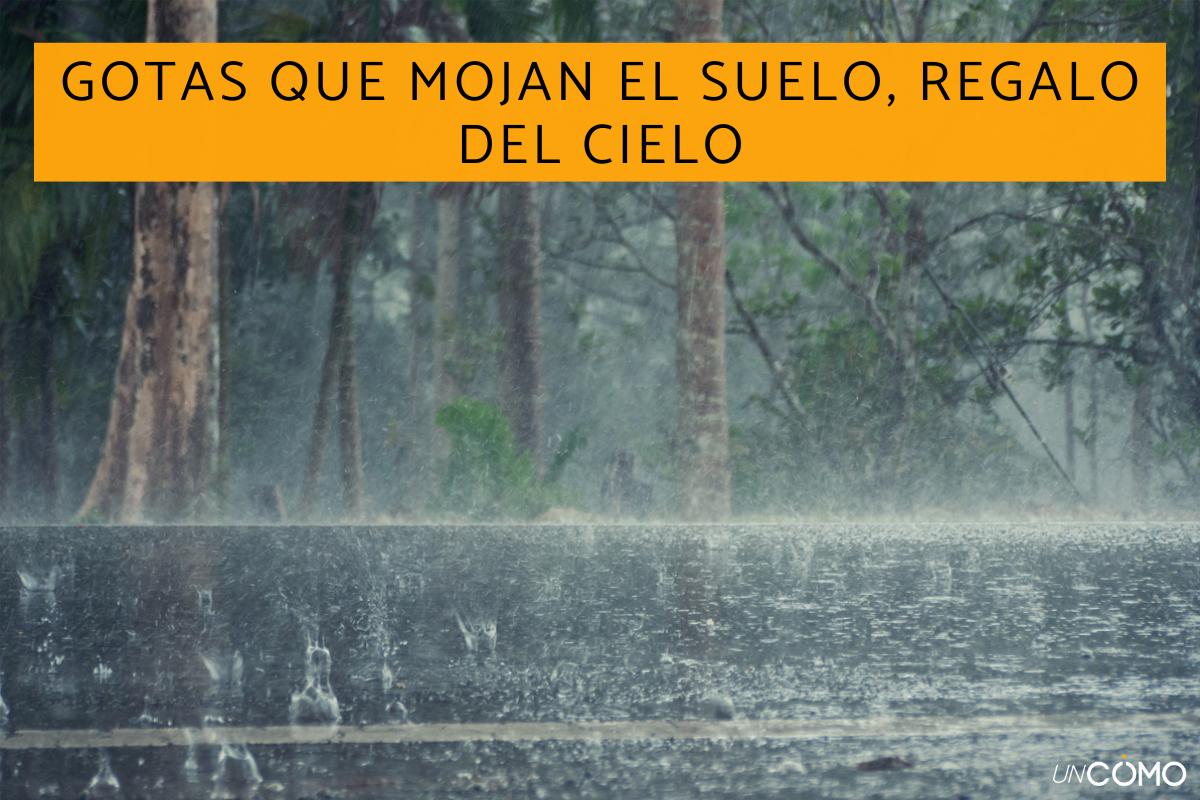 Refranes de lluvia: las mejores frases para los días lluviosos