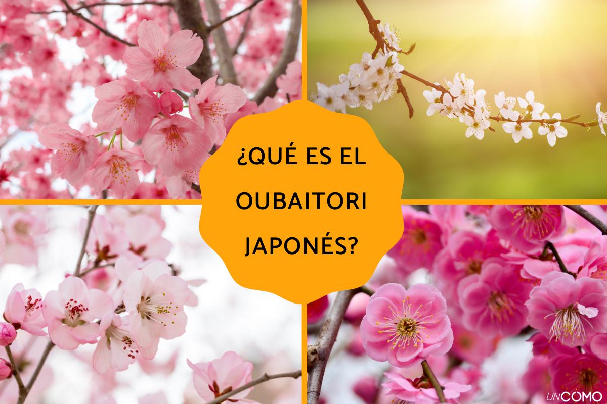 ¿Qué es el oubaitori? La técnica japonesa para mejorar la salud mental