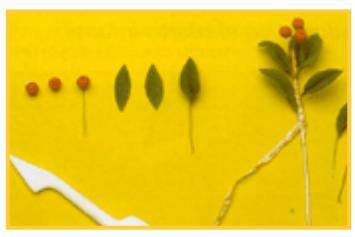 Cómo hacer un ramo de flores falso - Paso 3