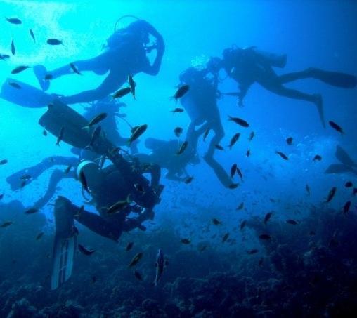 Cómo hacer la primera inmersión