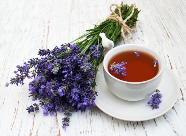 Té de lavanda: propiedades, cómo hacerlo y contraindicaciones