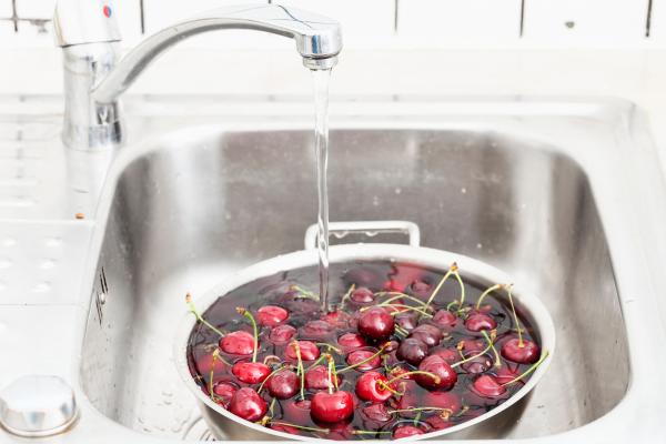 ¿Los perros pueden comer cerezas naturales o en almíbar? - Cómo dar cerezas a los perros