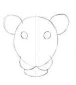 Cómo dibujar la cara de un león facilmente - Paso 1