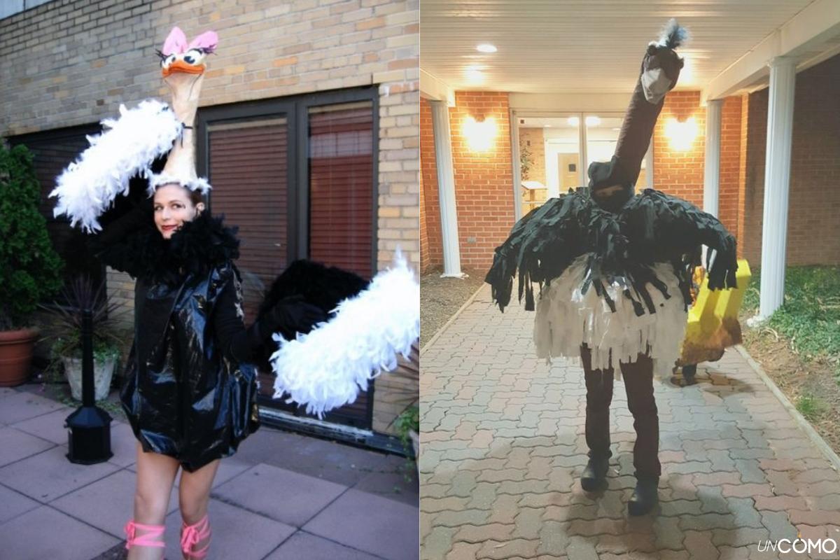 Cómo hacer un disfraz de avestruz casero: materiales y pasos