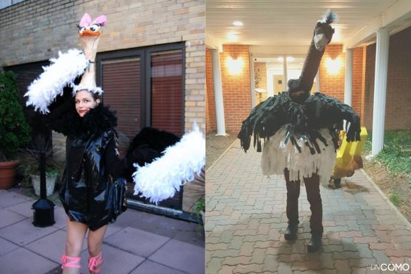 Cómo hacer un disfraz de avestruz casero: materiales y pasos