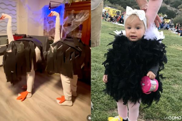 Cómo hacer un disfraz de avestruz casero: materiales y pasos - ¿Cómo hacer un disfraz de avestruz casero paso a paso?