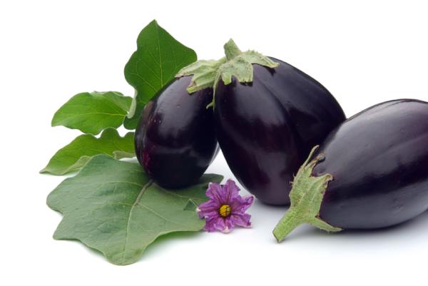 Entrante mediterráneo de berenjena