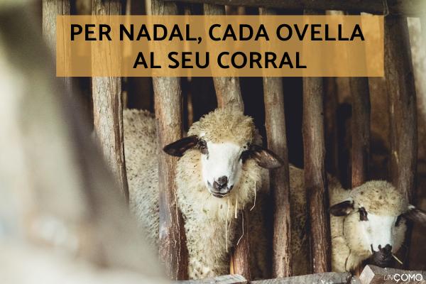 Refranes de Navidad: lista de los más populares - Refranes de Navidad en catalán